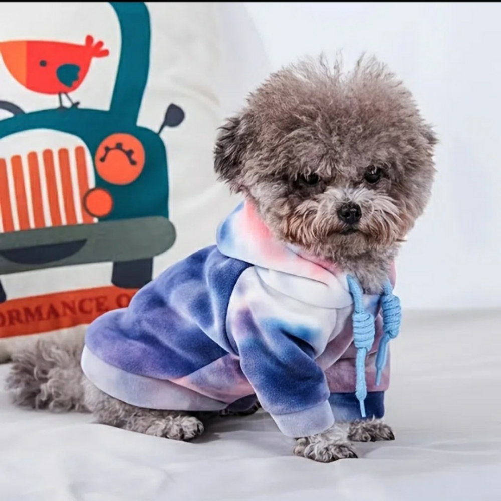 Pet apparel